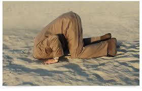 head in sand